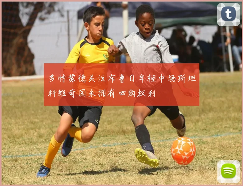 多特蒙德关注布鲁日年轻中场斯坦科维奇国米拥有回购权利
